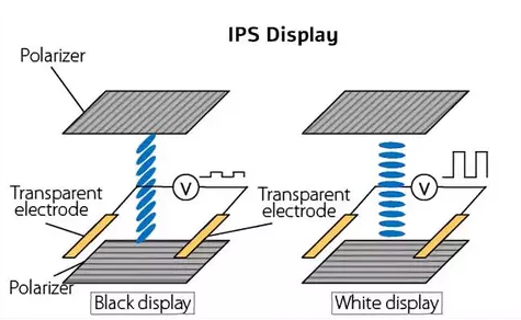 IPS Panel Structure