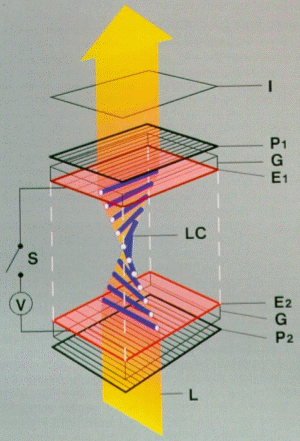Twisted Nematic Panel Structure without Voltage Applied