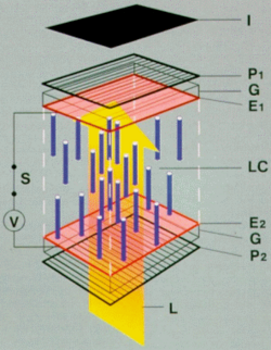 Twisted Nematic Panel Structure with Voltage Applied